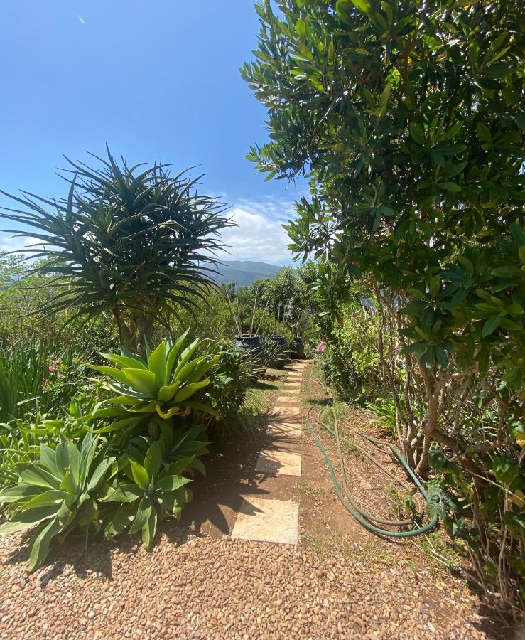Round The Bend Apartment Wildernis Exterior photo